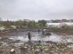 朝阳河道鱼塘清淤